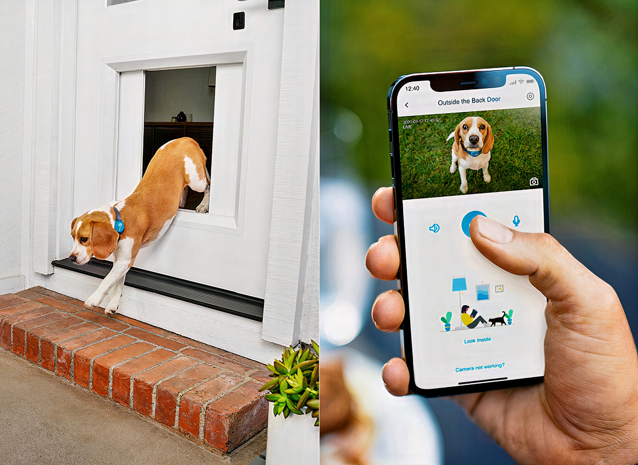 MyQ Pet Portal Smart Dog Door