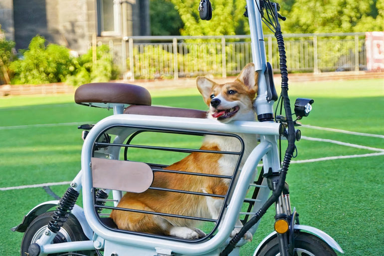 Mopet E-Bike Pets