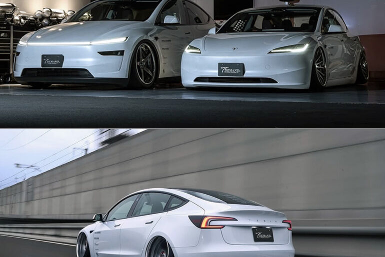 Japan T-Demand Tesla Model 3 Model Y Slammed Mod
