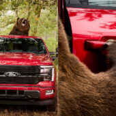 Ford F-150 Security Package Bear Test