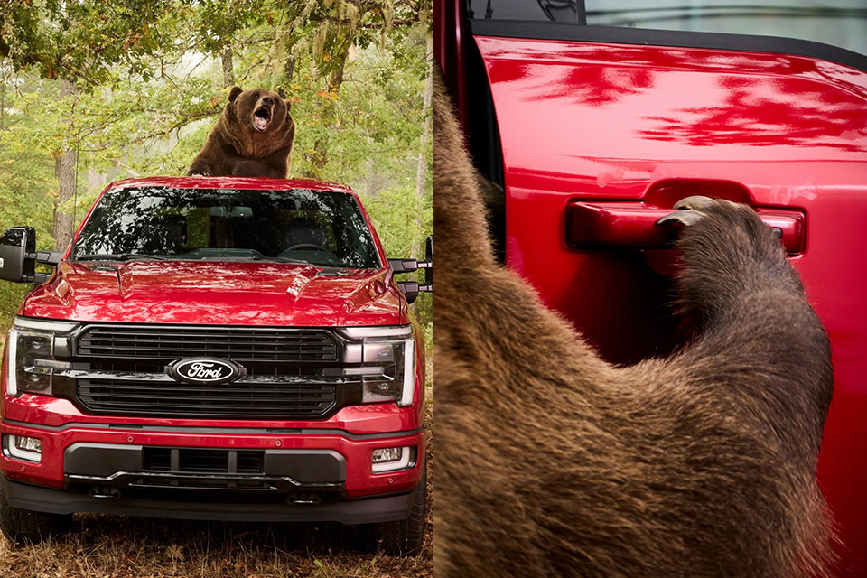 Ford F-150 Security Package Bear Test