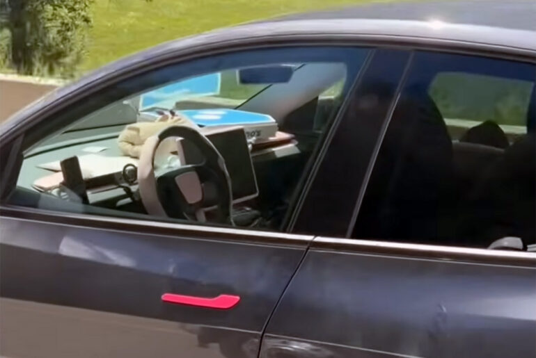 Tesla Model Y Driver Asleep FSD