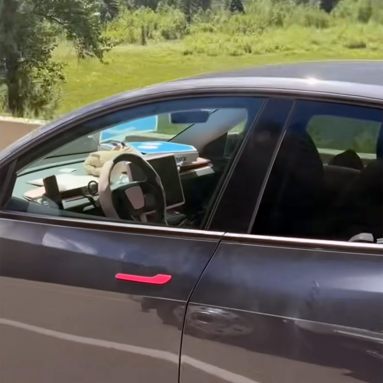 Tesla Model Y Driver Asleep FSD